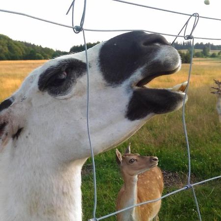 ドゥシュニキ・ズドルイ Wakacyjny Domek Sloszow 3ヴィラ エクステリア 写真