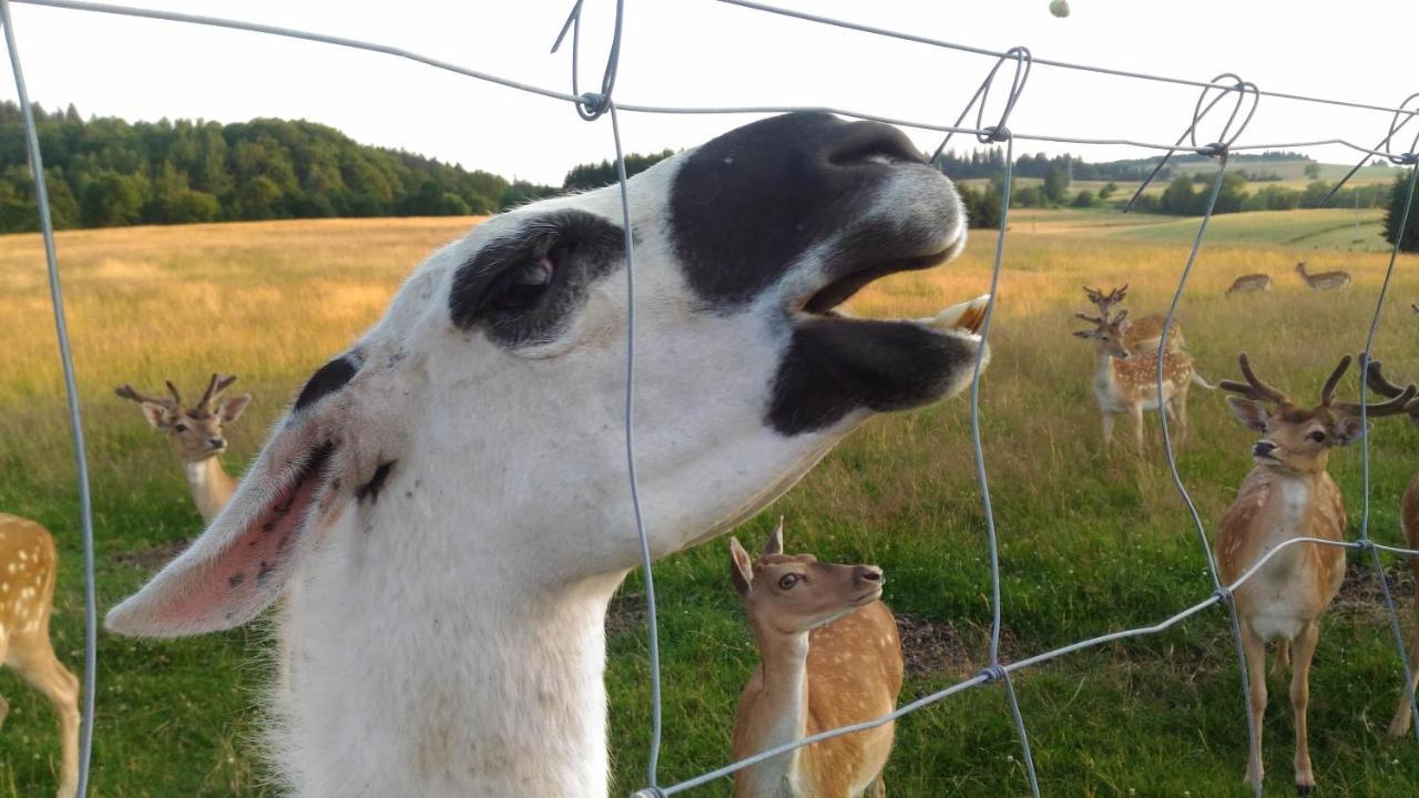 ドゥシュニキ・ズドルイ Wakacyjny Domek Sloszow 3ヴィラ エクステリア 写真